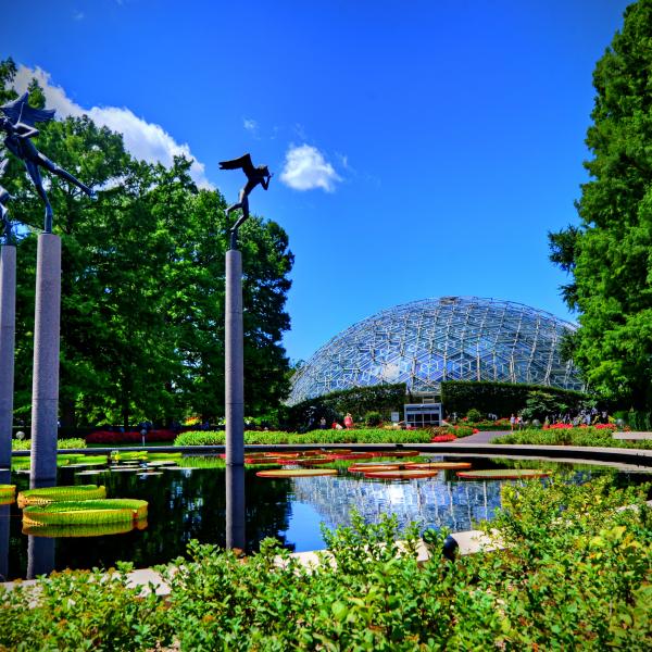 botanical gardens