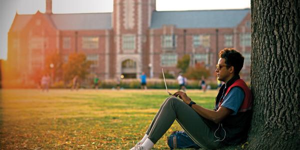 students sitting under tree with laptop