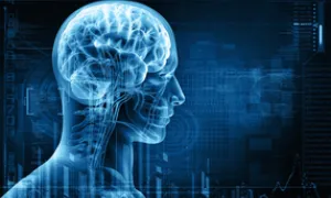 "translucent blue image of man that shows brain"