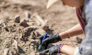 "archaeological dig"