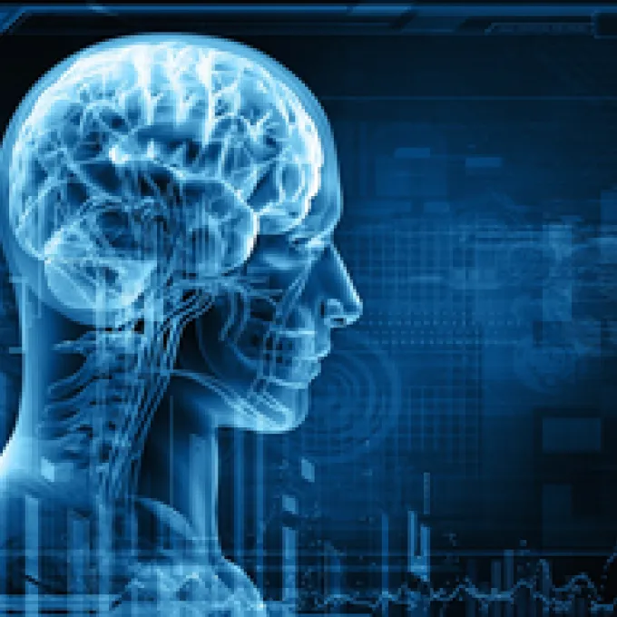 "translucent blue image of man that shows brain"