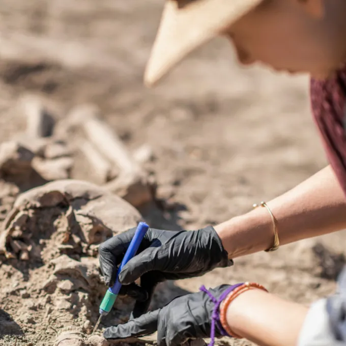 "archaeological dig"